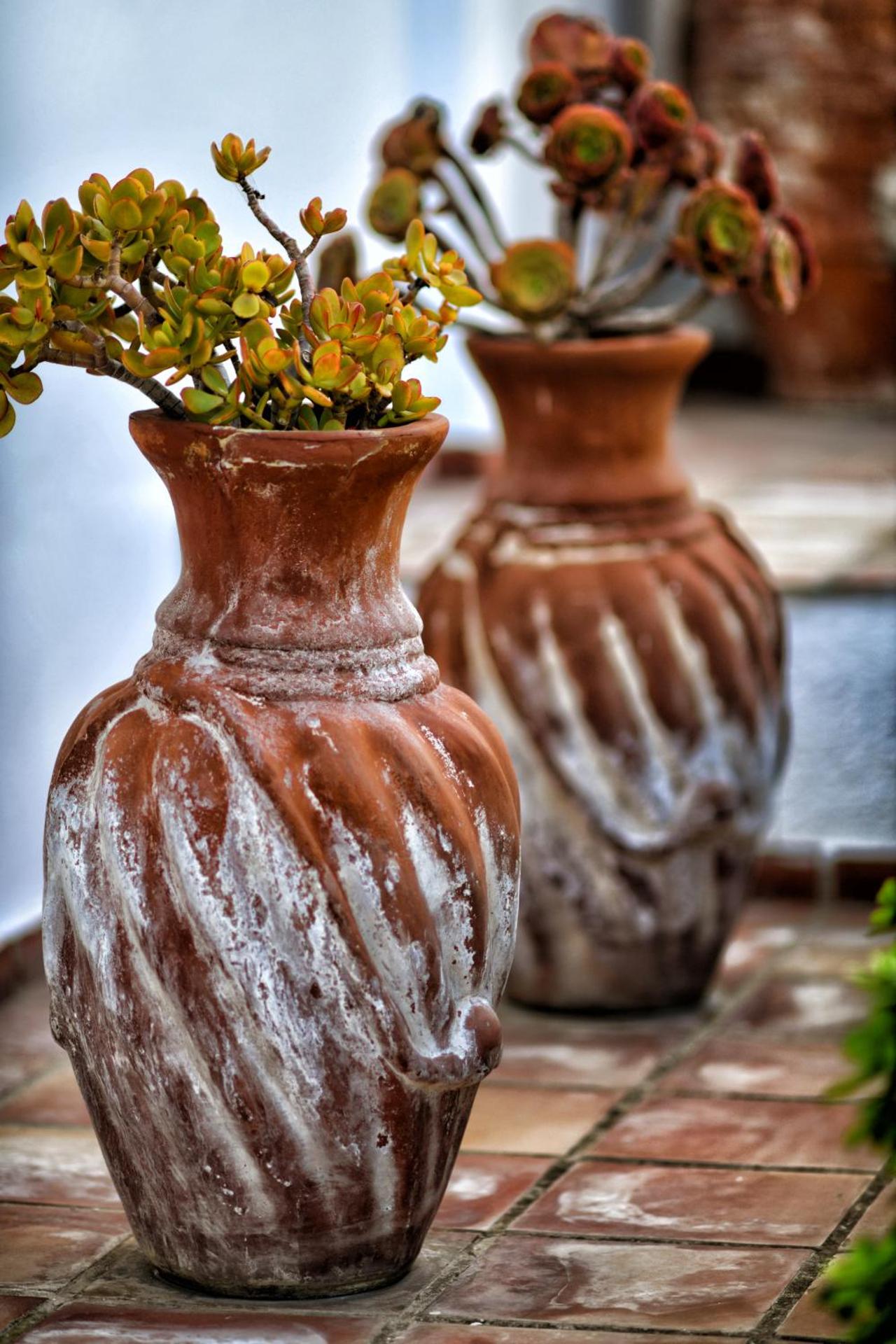 Luxurious Villa by the sea