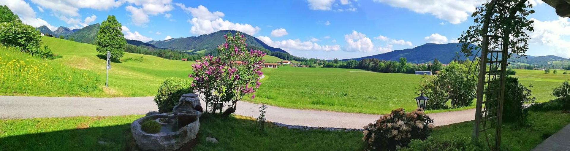 View (from property/room)