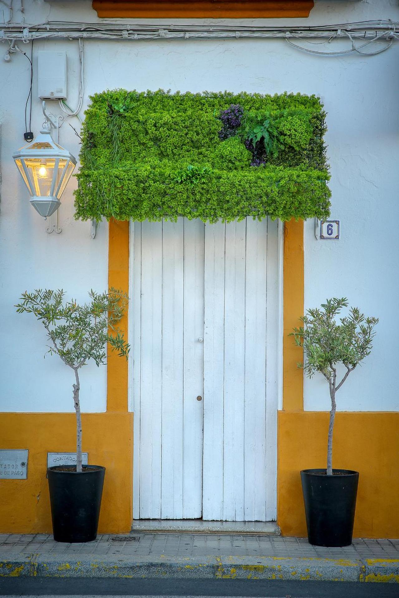 DONDE DUERME EL GUADIANA