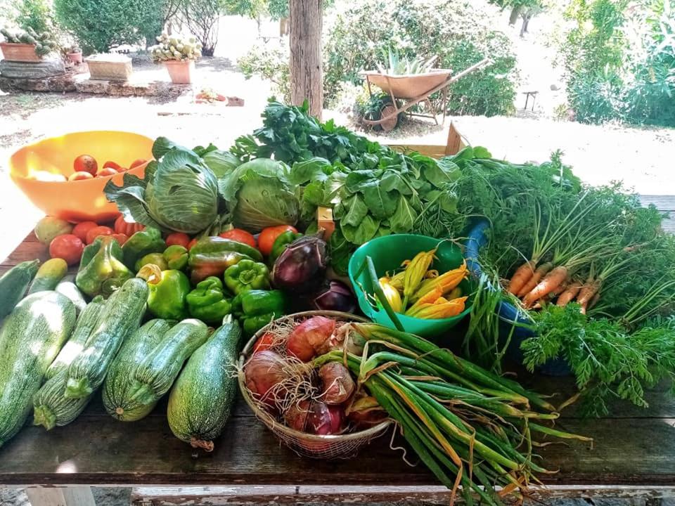 Il Casale di Aquarubra