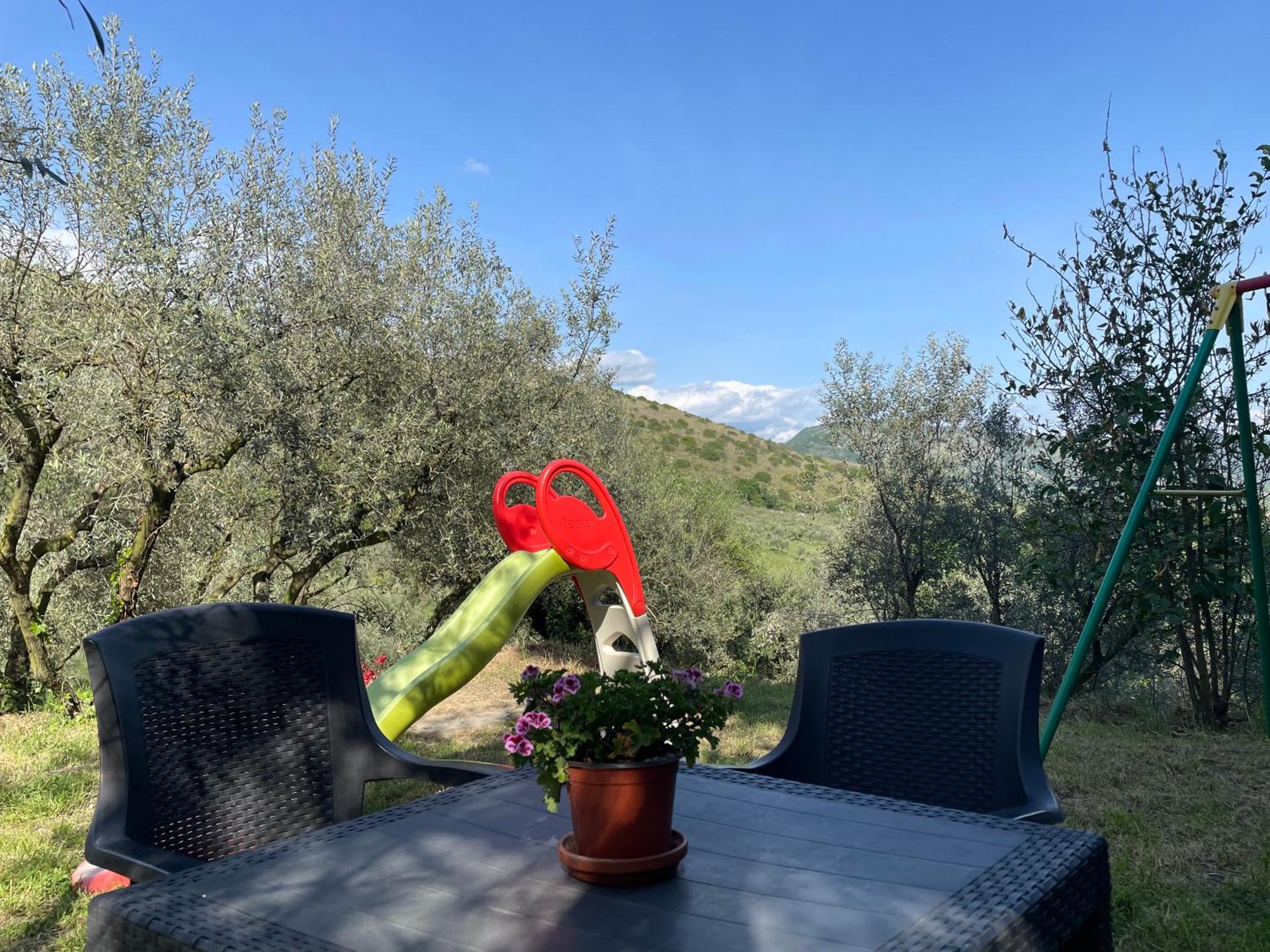 Children play ground