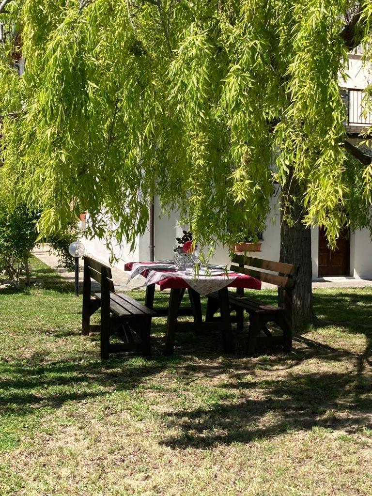 Agriturismo Il Portico