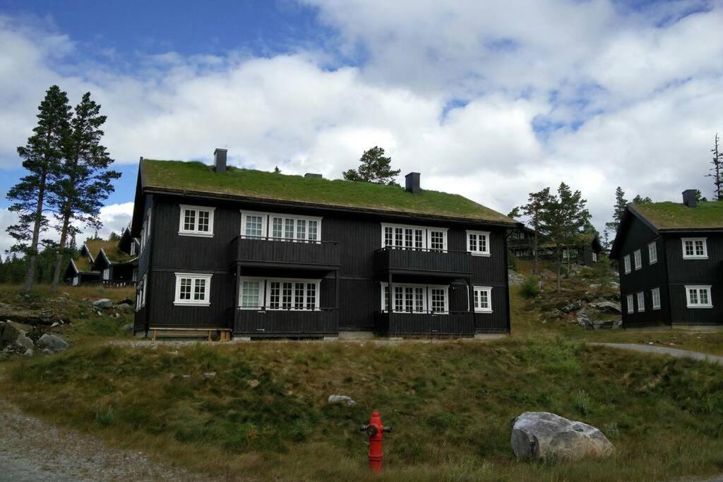 Apartment Gaustablikk