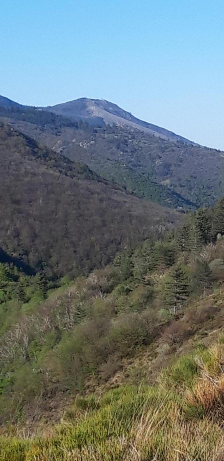 Gîtes chez Daniel "Cevennes 2"