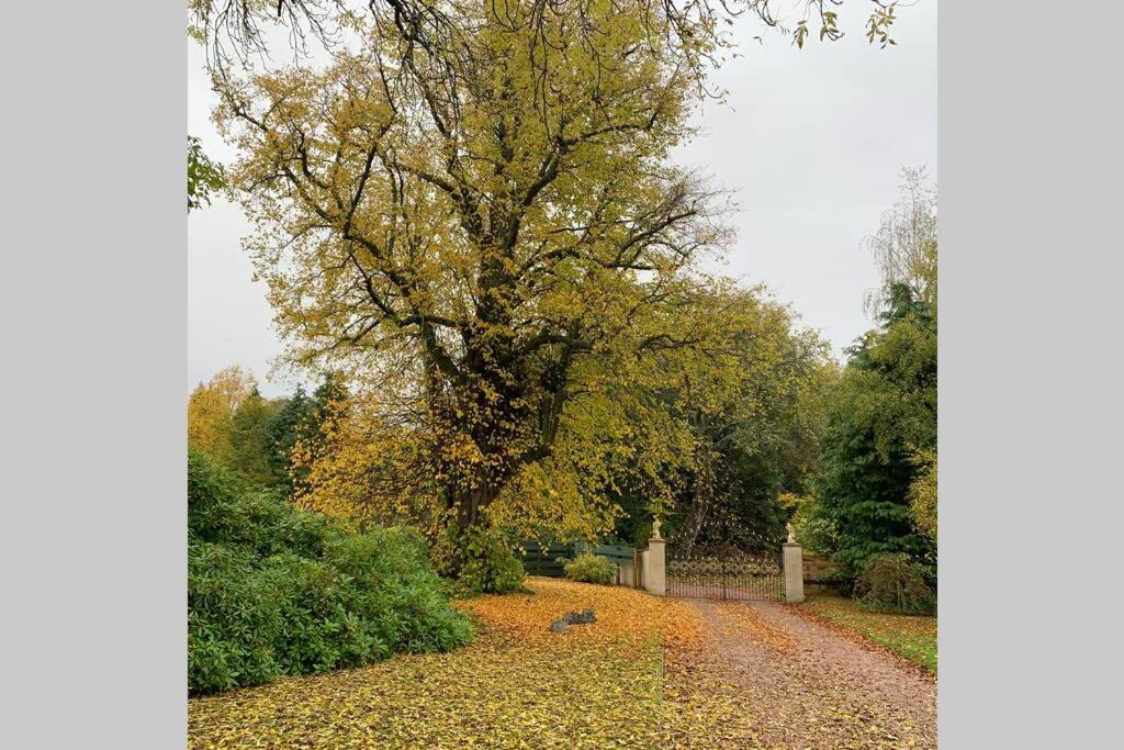 The Nest - Near Inverness & Loch Ness