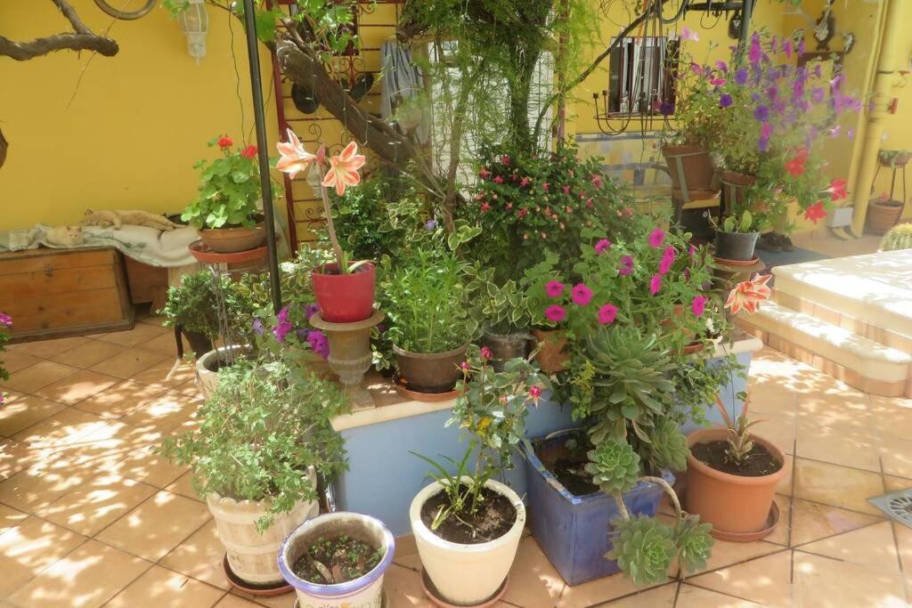 Finca Cortez Apartment 2