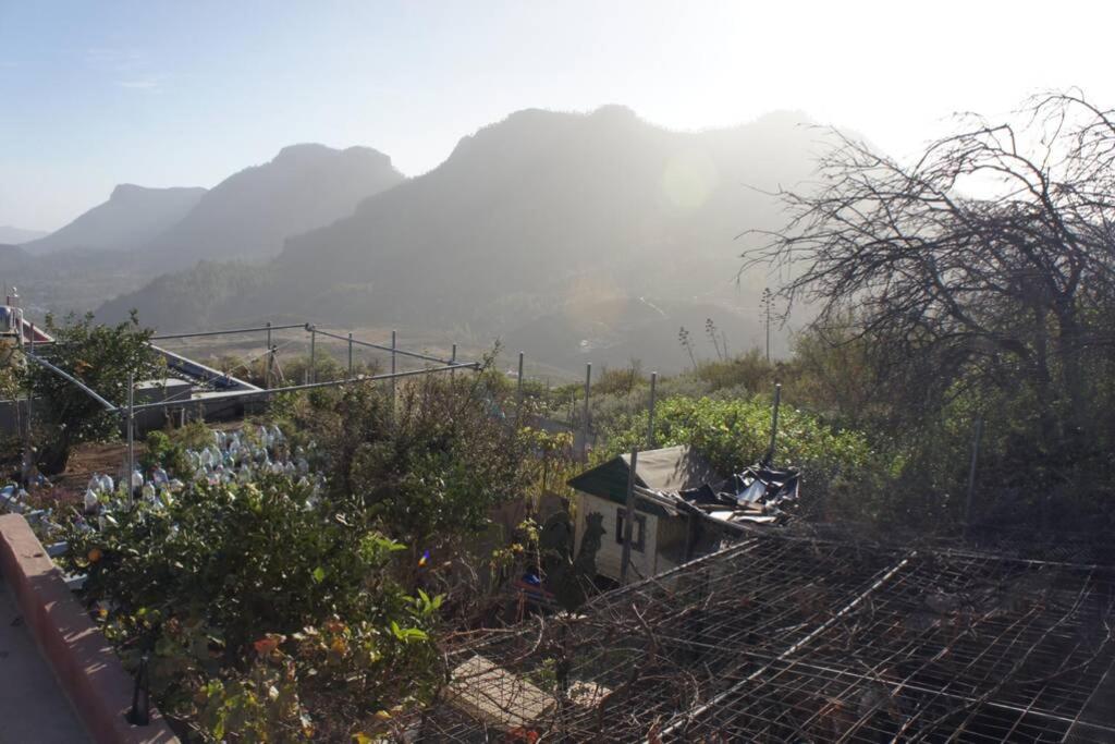 Finca Cortez Apartment 2