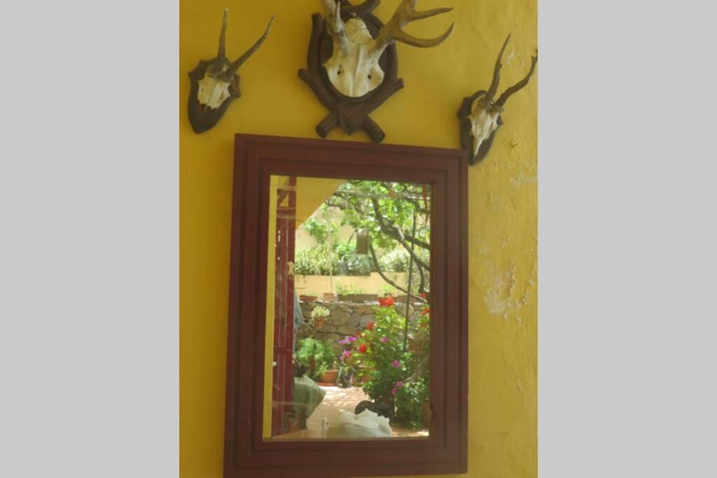 Finca Cortez Apartment 2