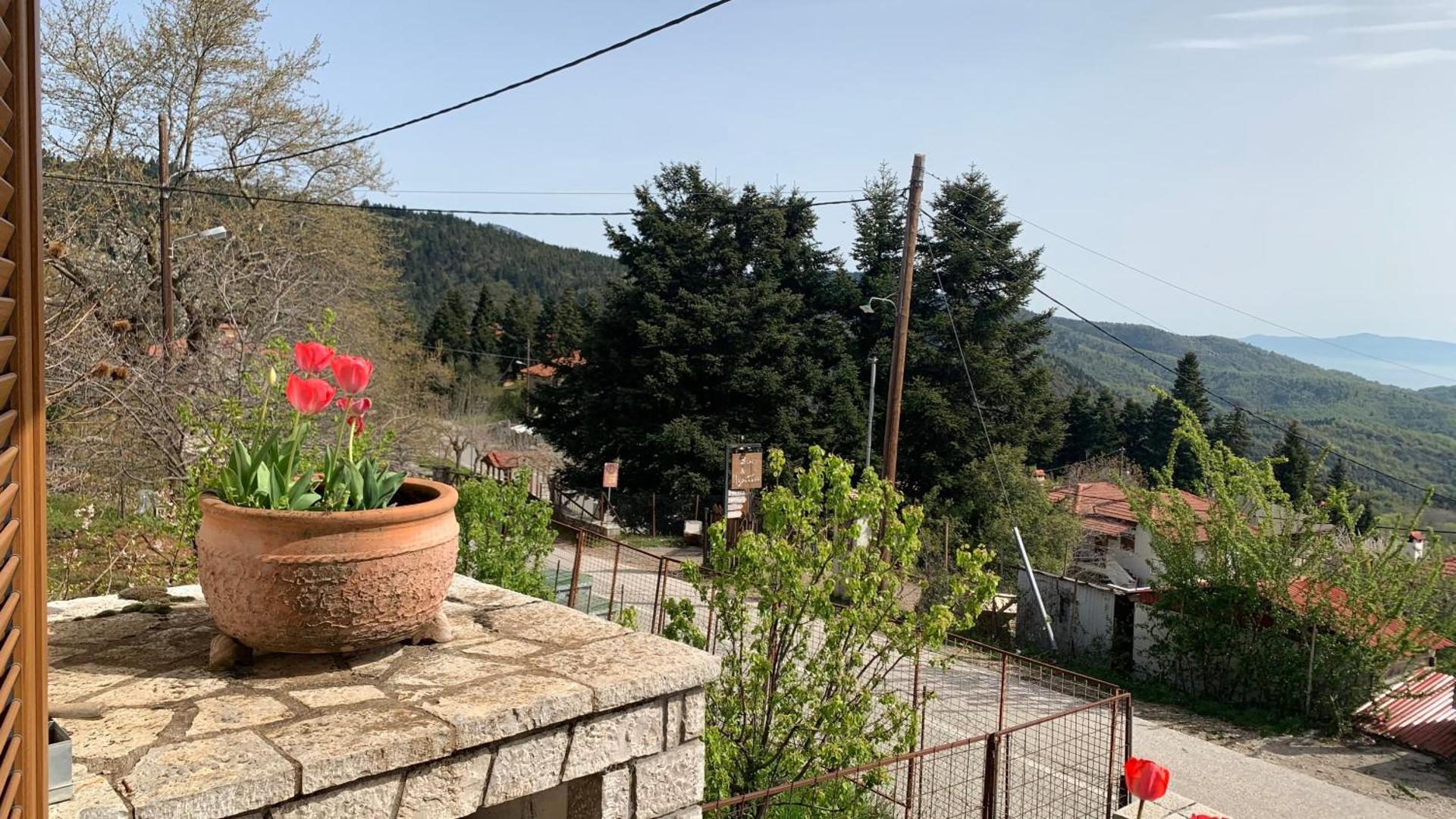 View (from property/room)