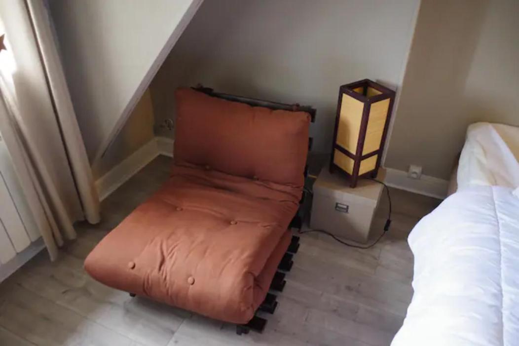 Les Mansardes du centre ville ,vue Loire