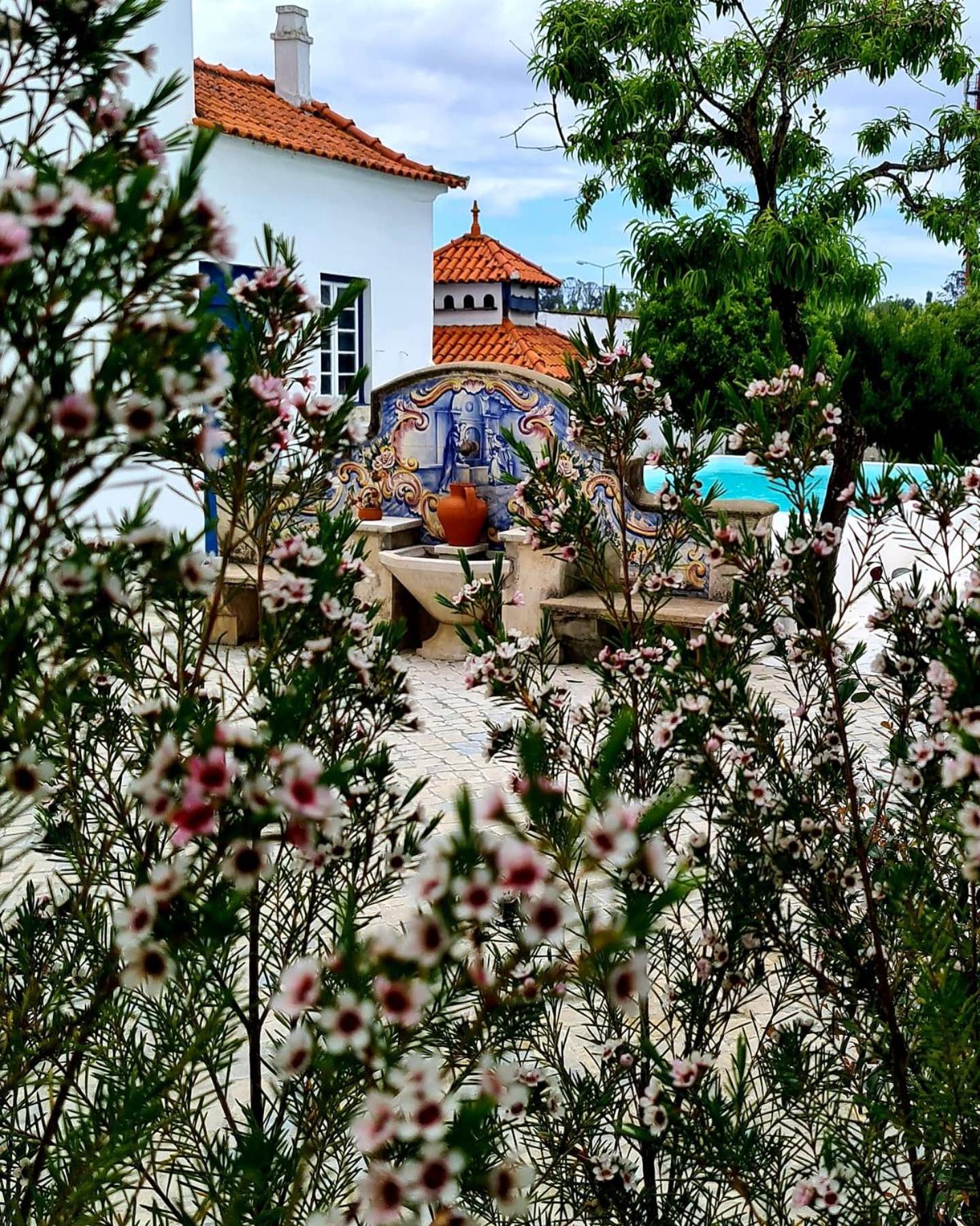 Oryza Guest House& Suites