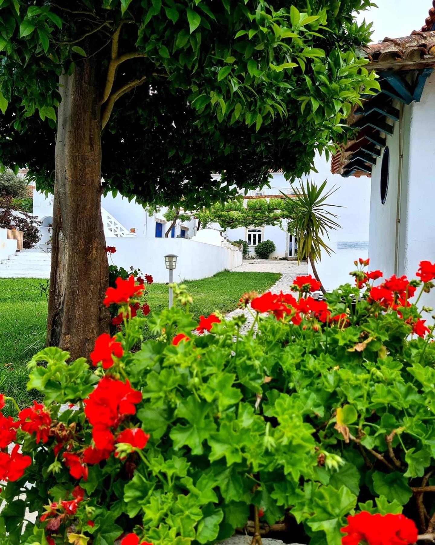 Oryza Guest House& Suites