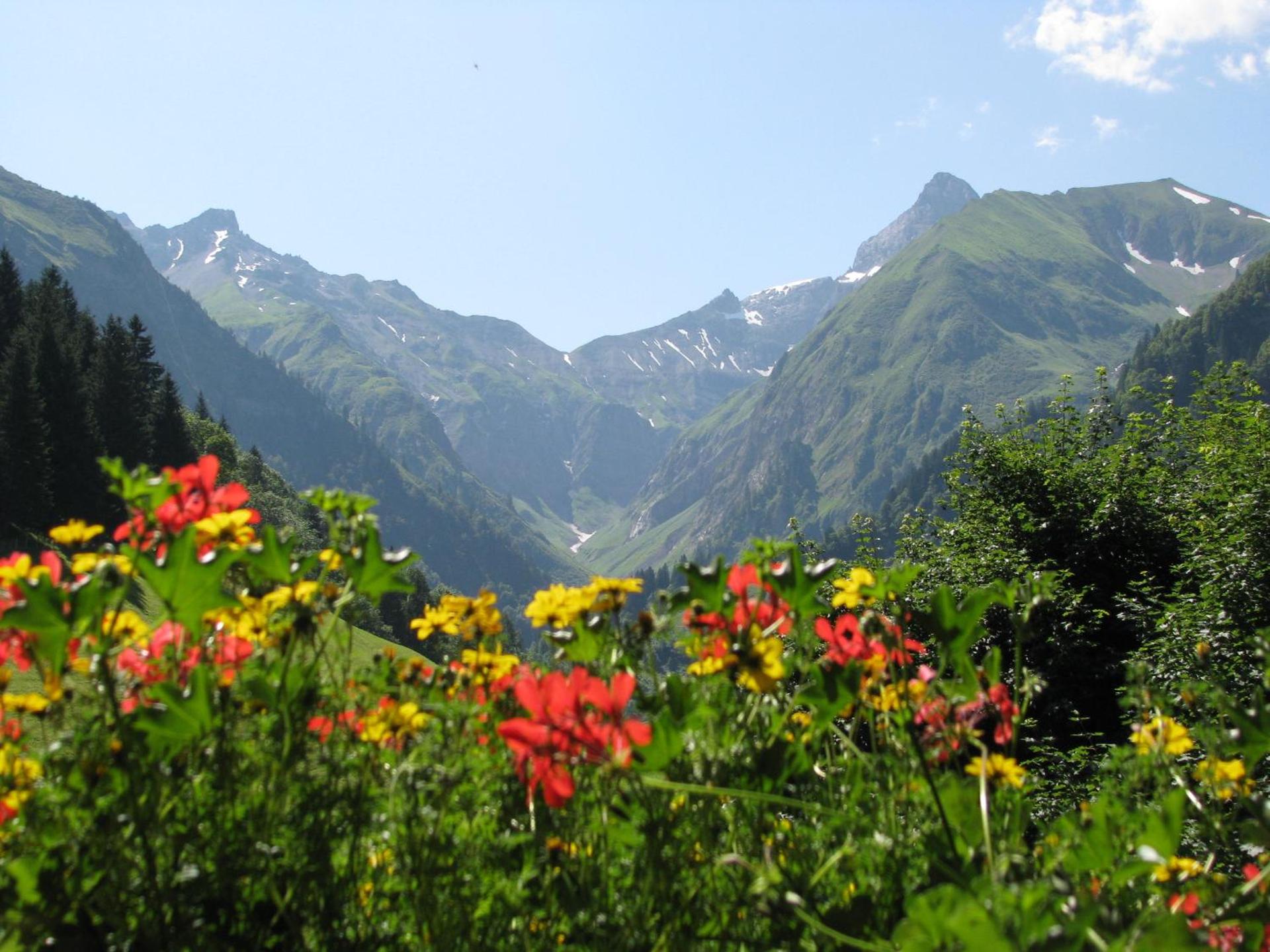 Ferienparadies Spielmannsau