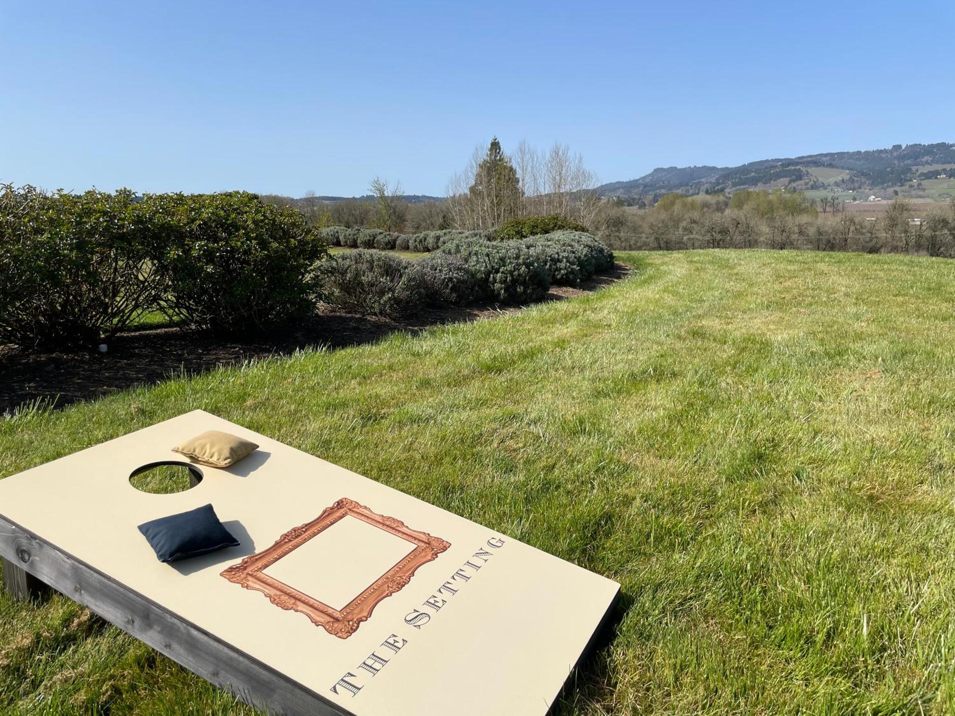 View (from property/room)