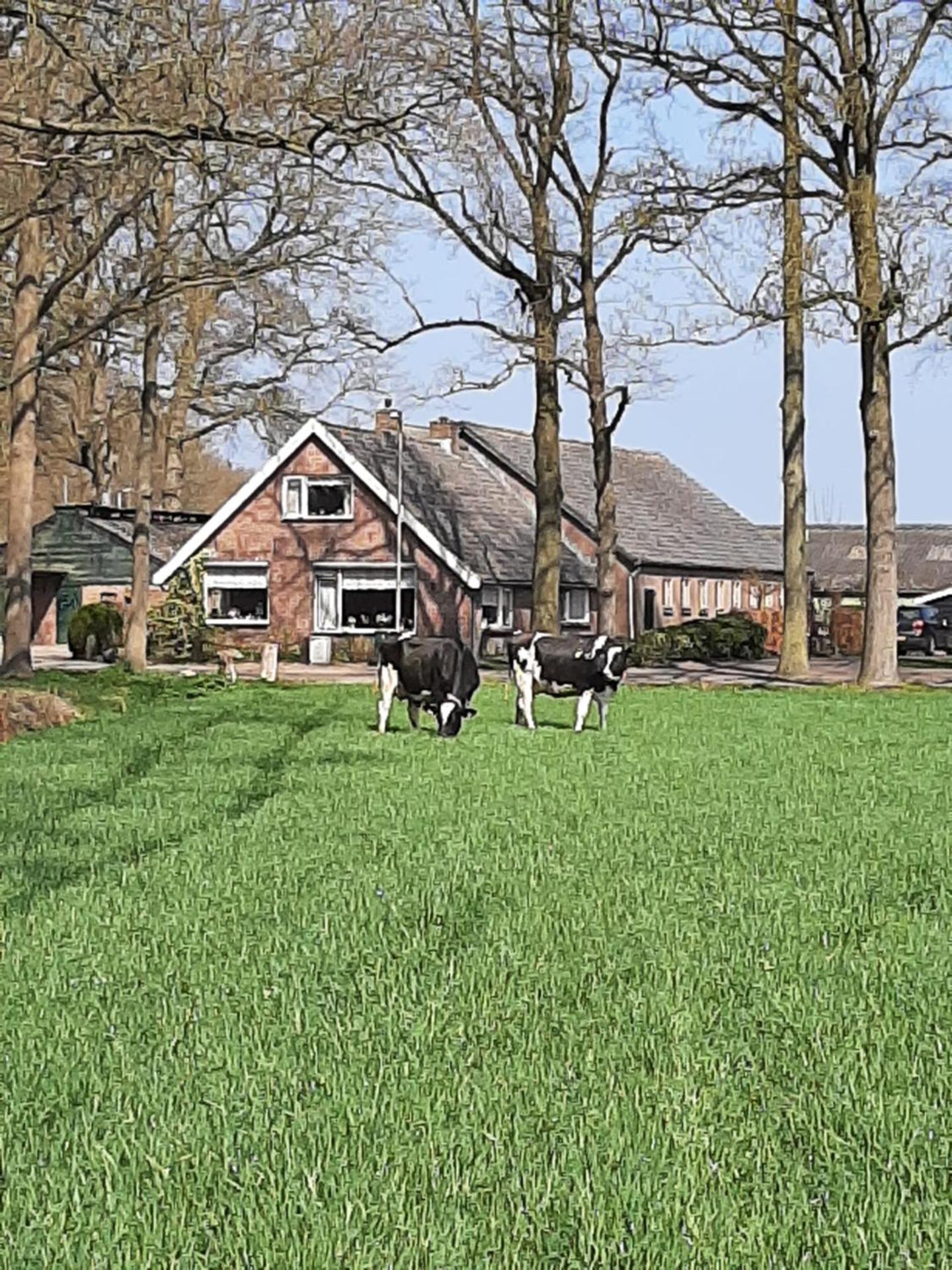 Hoeve de Laan