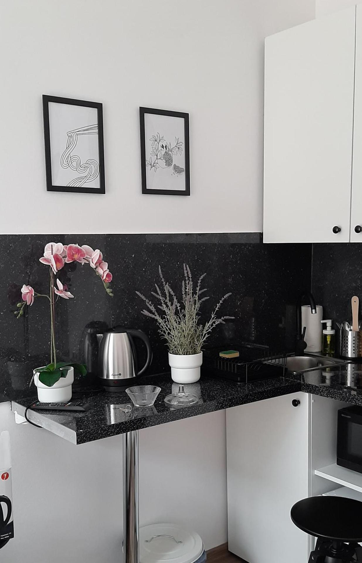 Kitchen or kitchenette