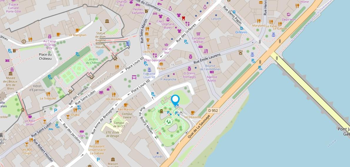 Les Mansardes du centre ville ,vue Loire