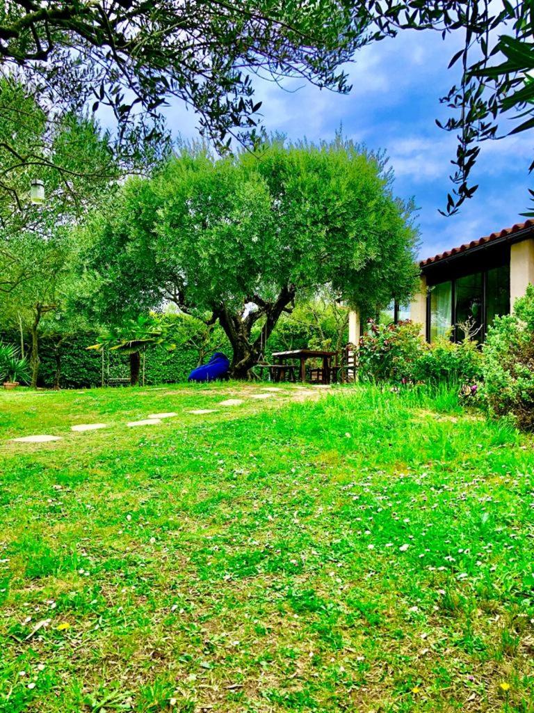 VILLA DU VERDON VAR PROVENCE avec piscine et jardin - private