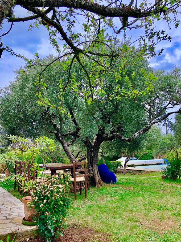 VILLA DU VERDON VAR PROVENCE avec piscine et jardin - private
