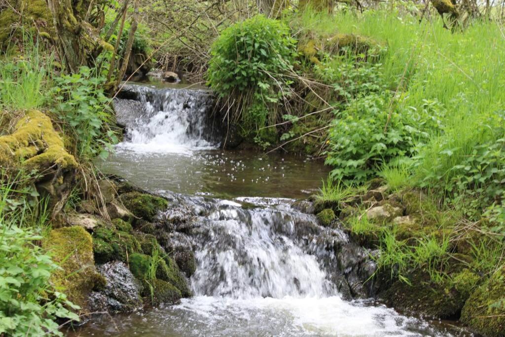 Eifelhaus LandLuft mit Infrarotkabine