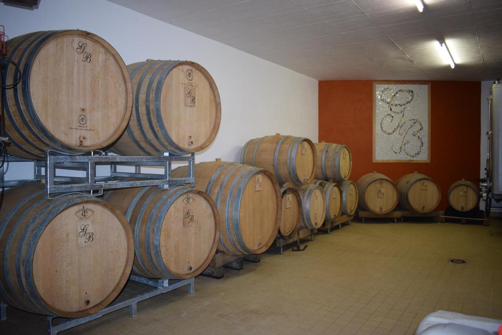 Gîte« Le Pressoir » chez viticulteur en biodynamie