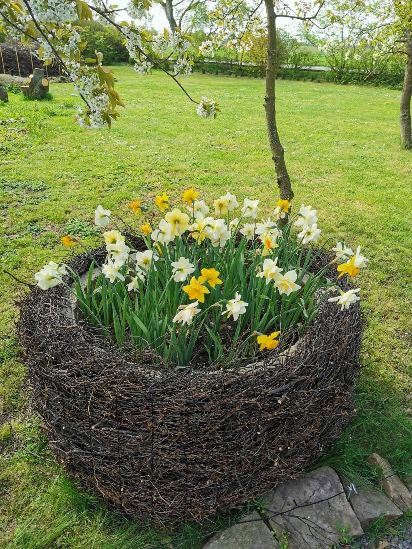 The Cherry Apartment - 'Den Gule Svane' Guest House near Rønne & Beach