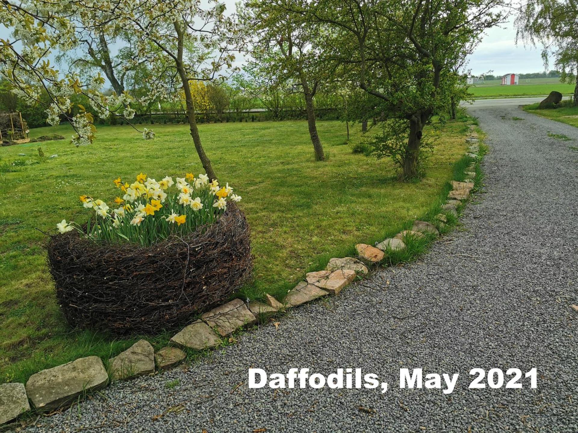 The Cherry Apartment - 'Den Gule Svane' Guest House near Rønne & Beach