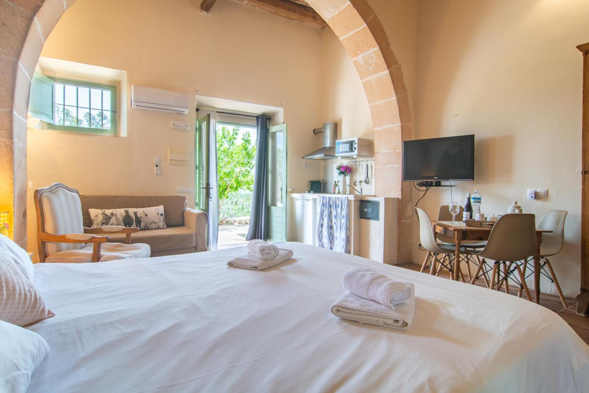 Superior Studio with Terrace