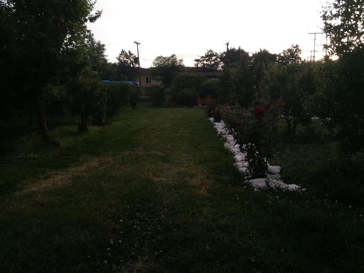 Green house - Apartment in Aridaia-Loutra Pozar