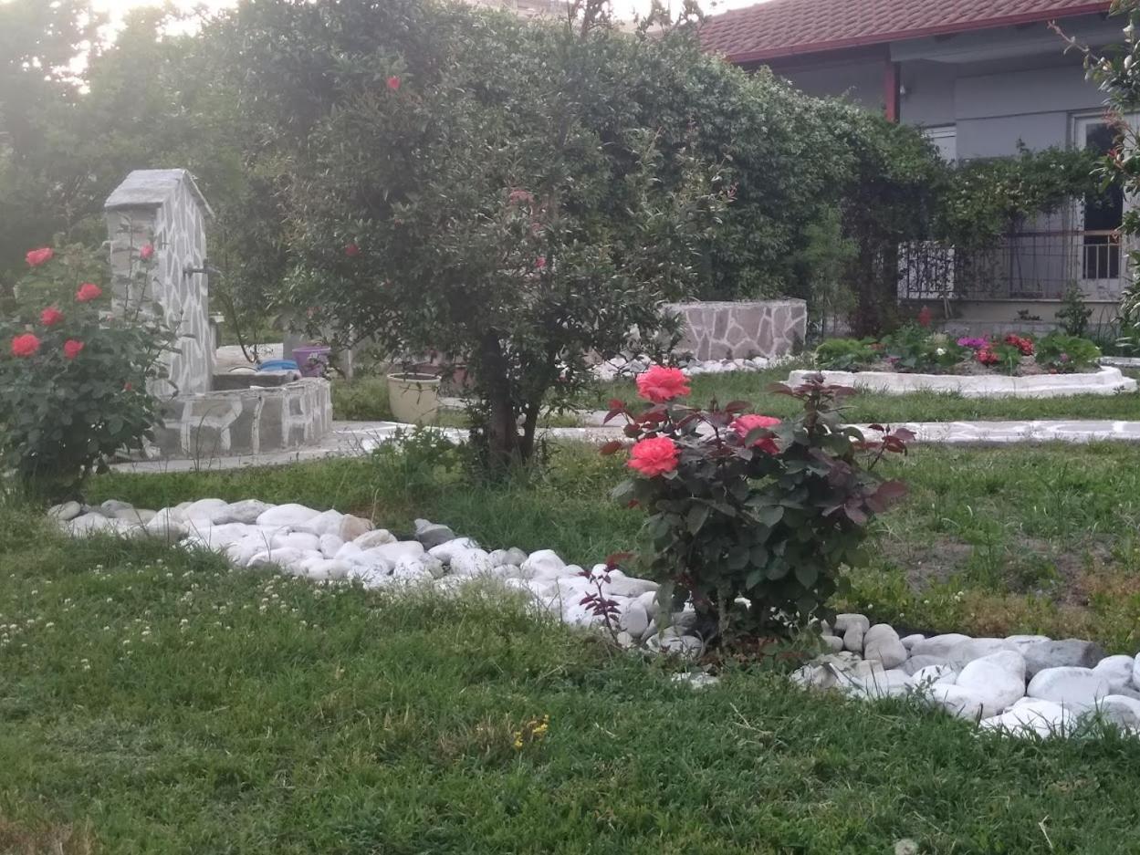 Green house - Apartment in Aridaia-Loutra Pozar