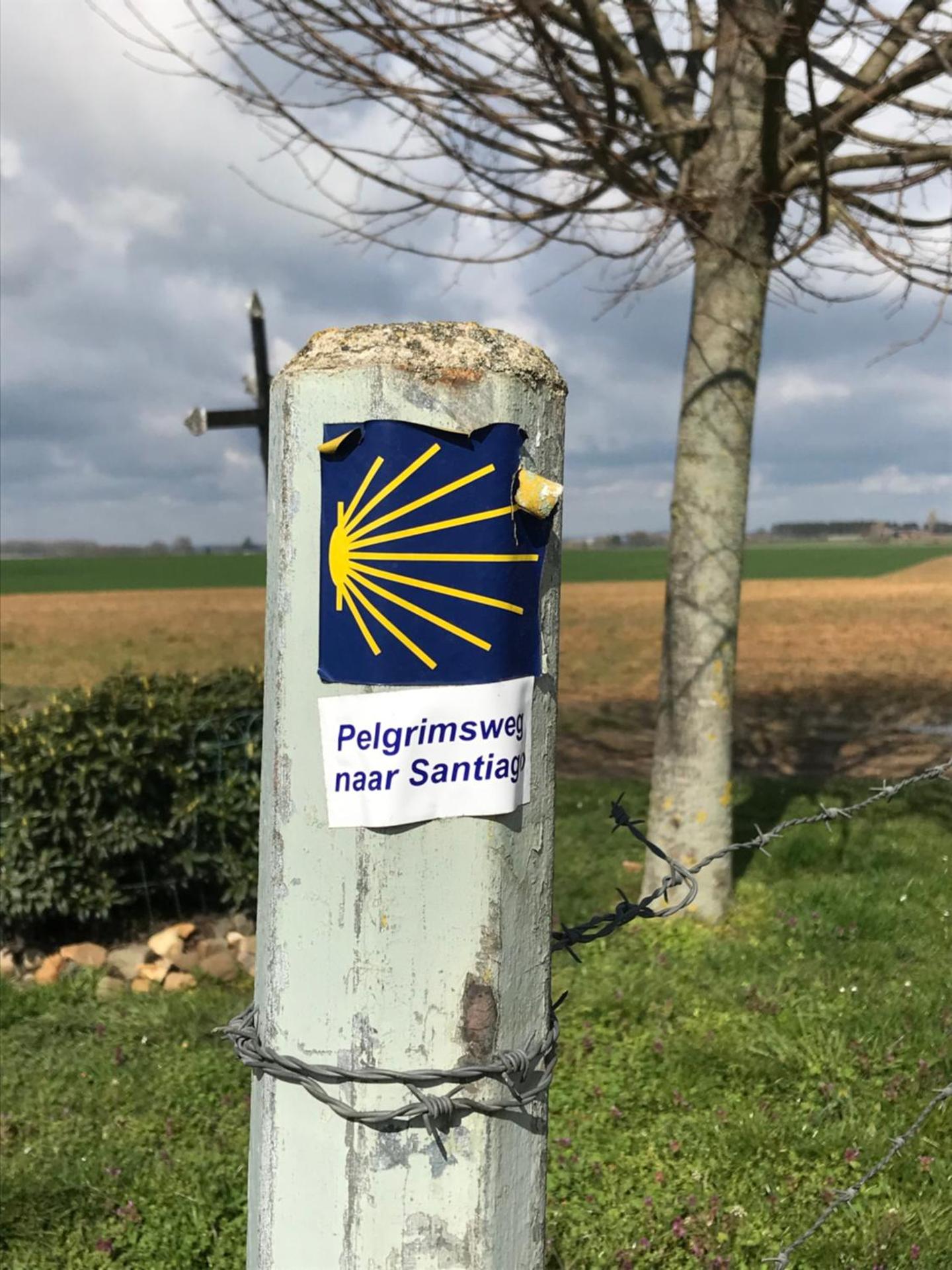 Klein Haasdal Studio's