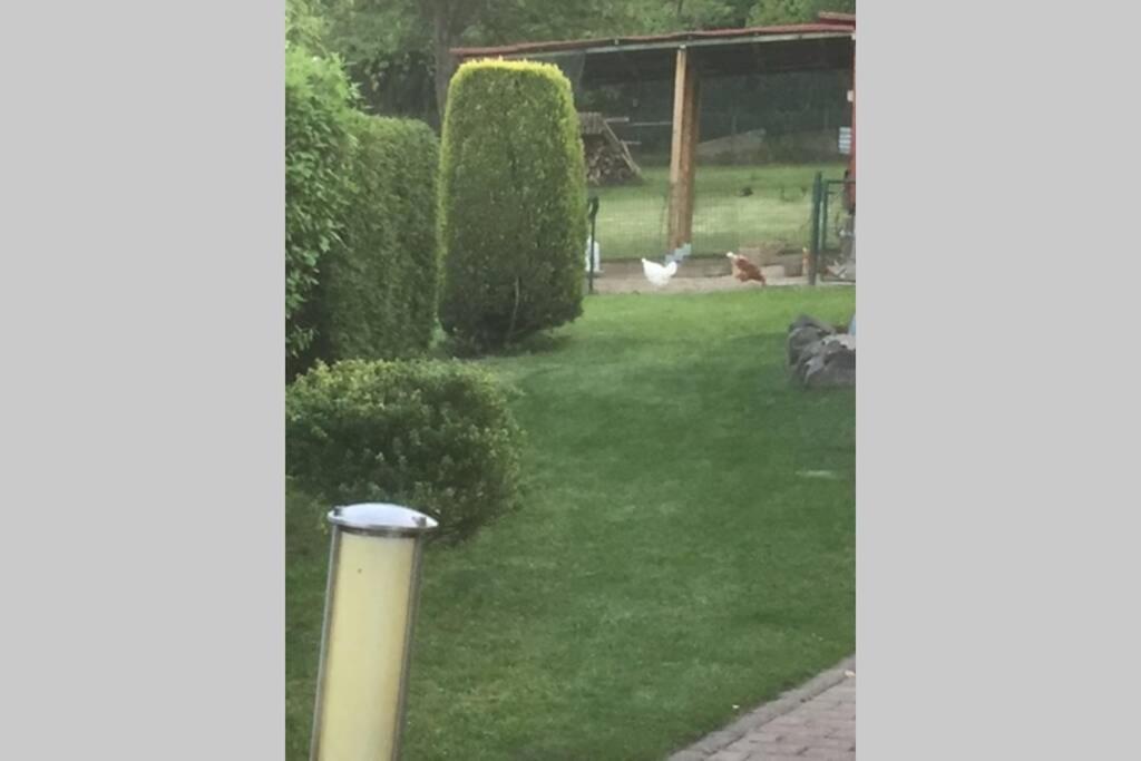 Ferienwohnung Forneck am Rheingoldbogen