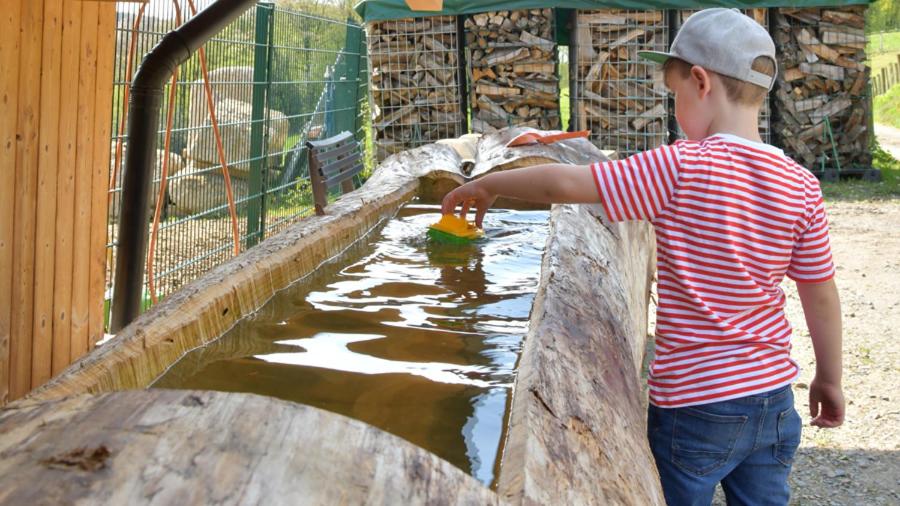 Haus Alpenrose zum Vic