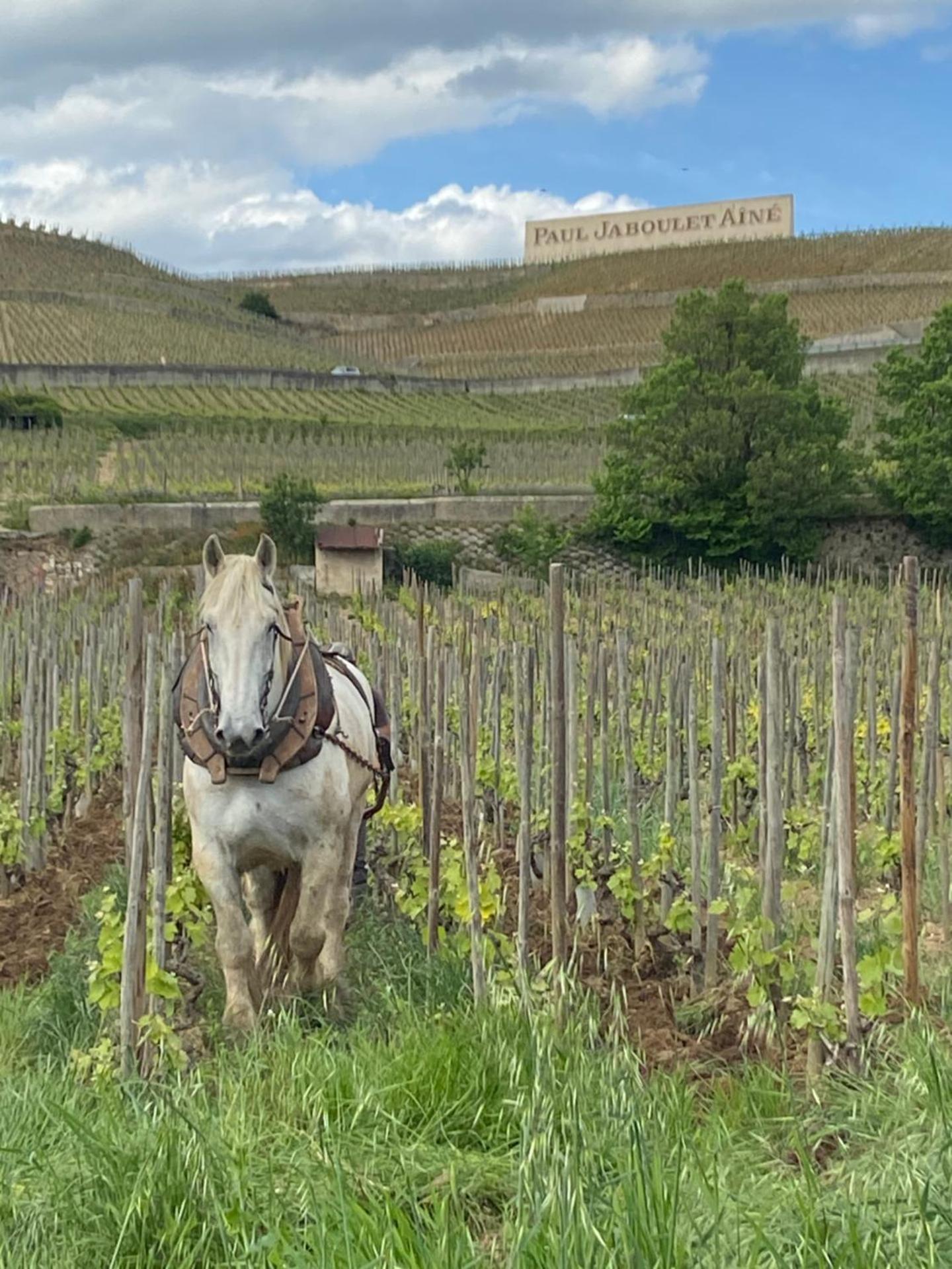 Le Pavillon de l'Hermitage - Spa ouvert d'Avril à Octobre