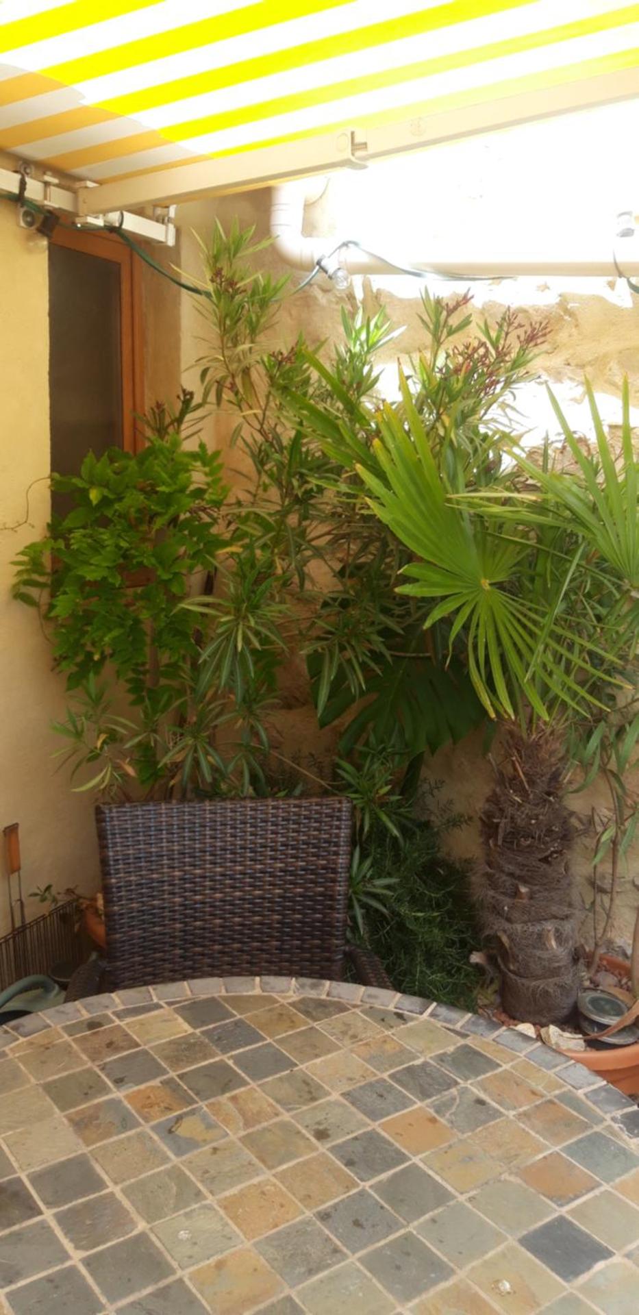 Gîtes chez Daniel "Languedoc"