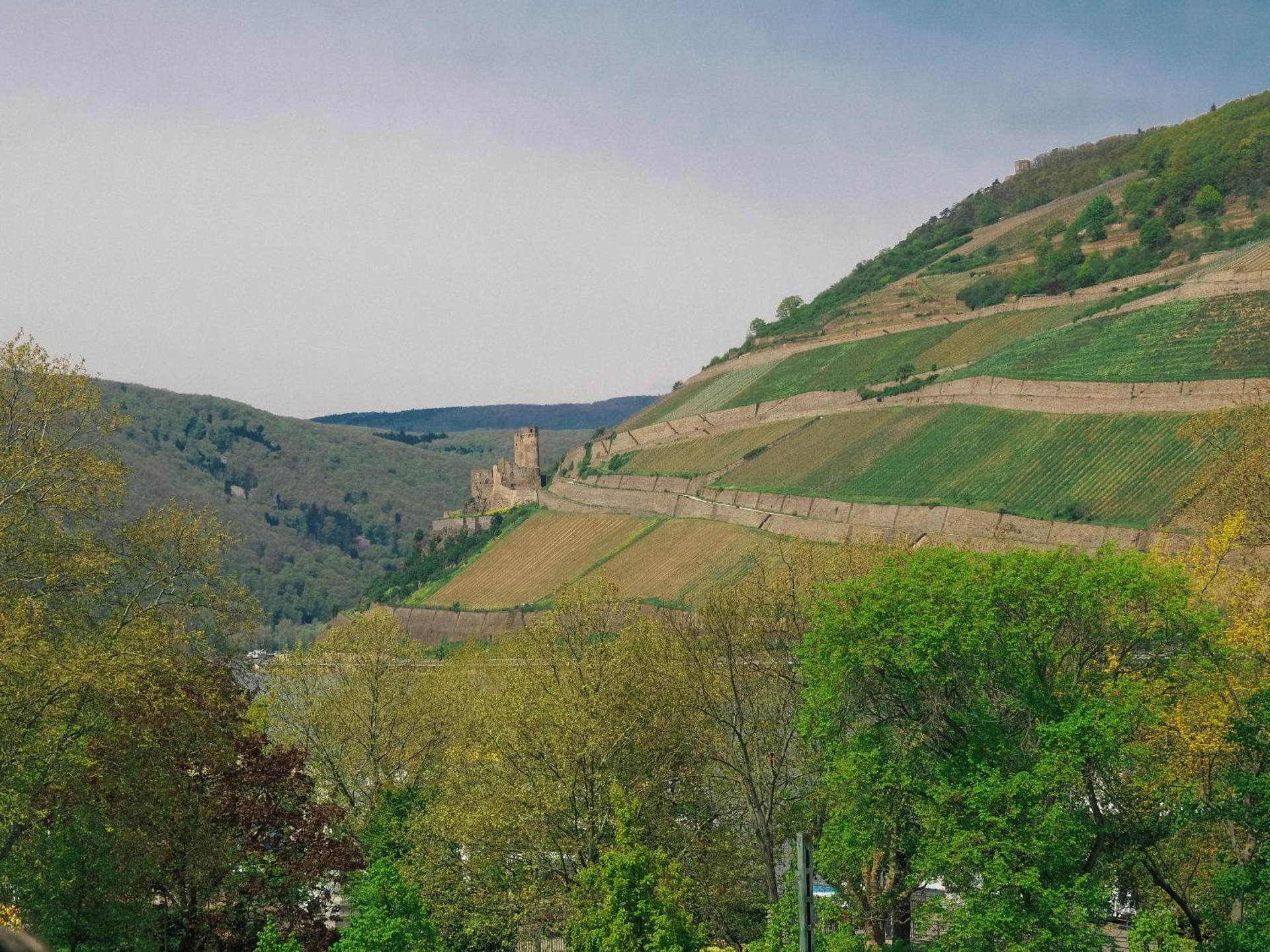 View (from property/room)