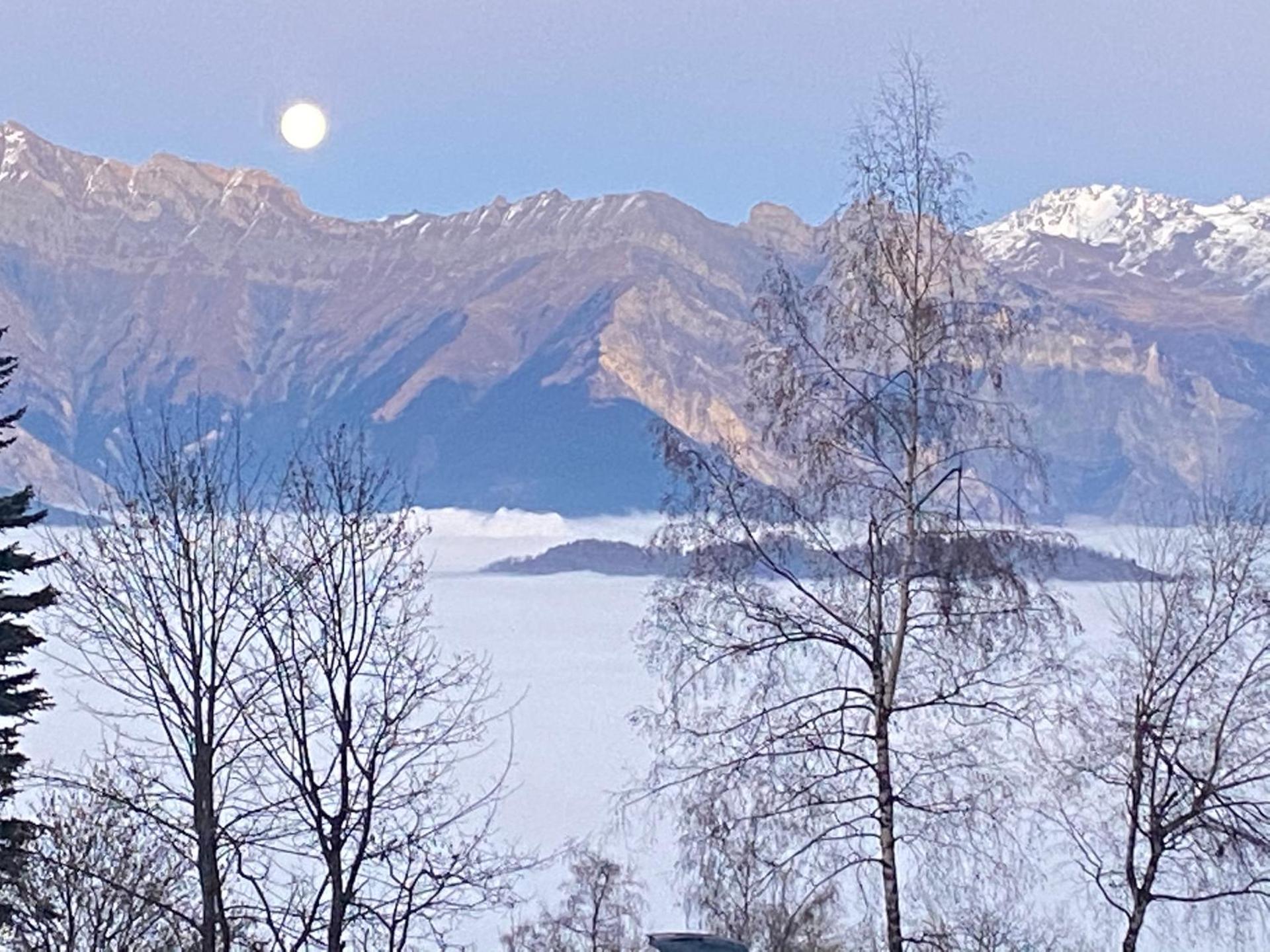 Le Vostok Zodiaque Soyouz