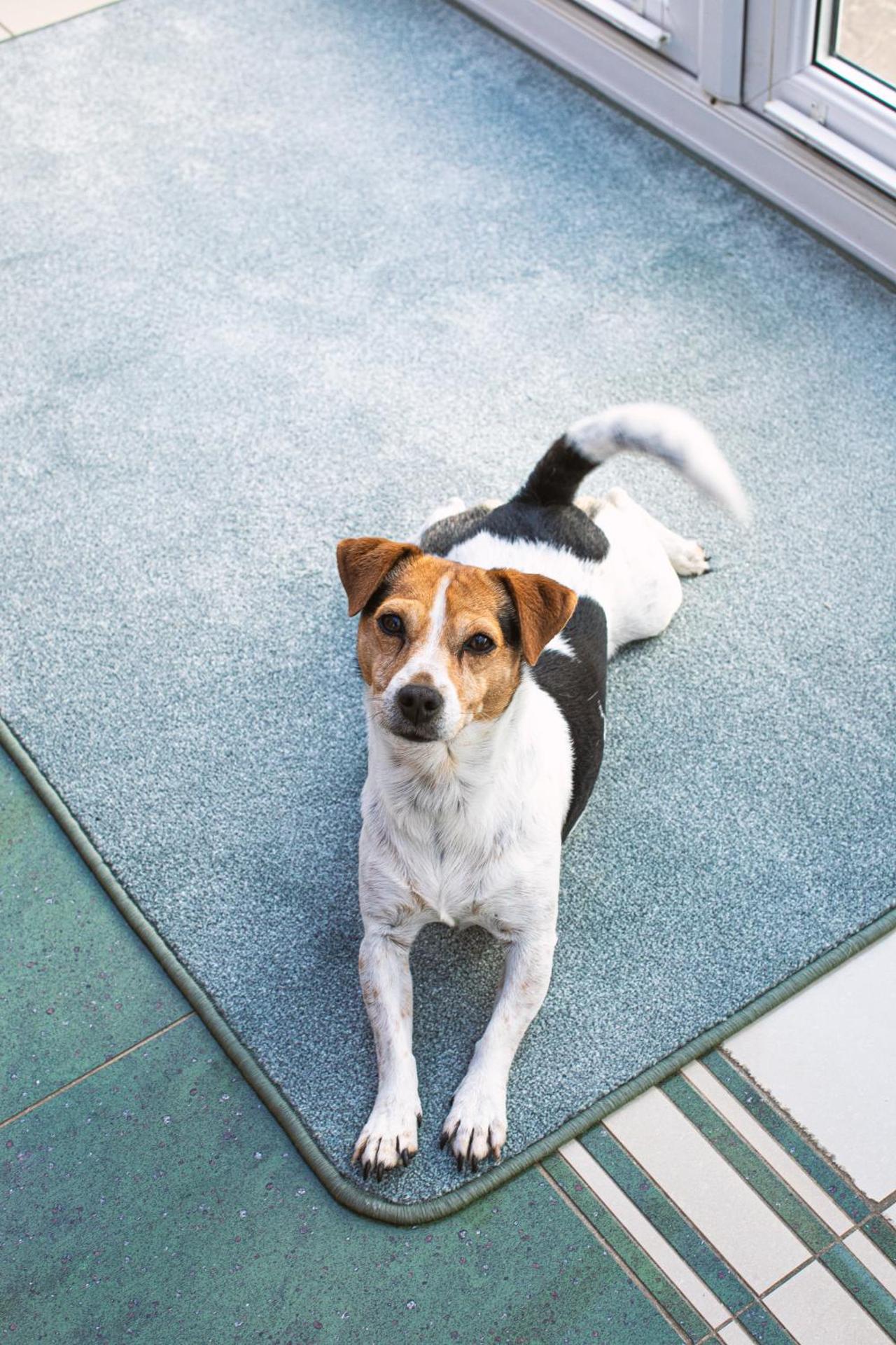 Oak Tree Annex Keppel Gate B & B