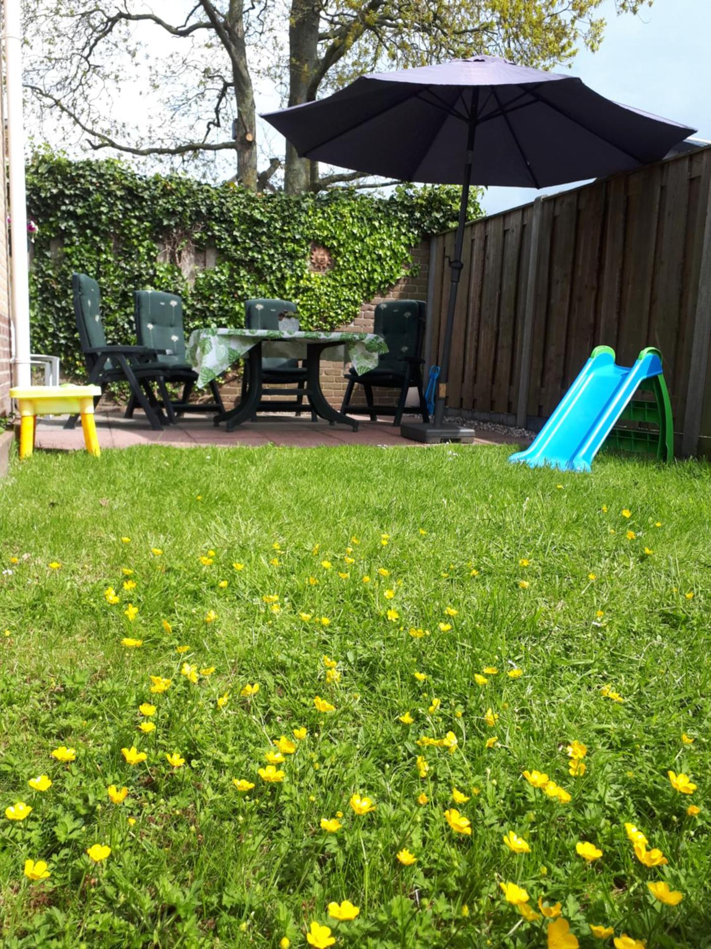 Children play ground