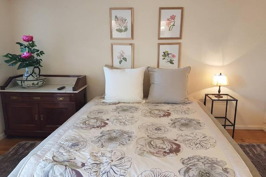 Casa de Campo - Cinfães do Douro