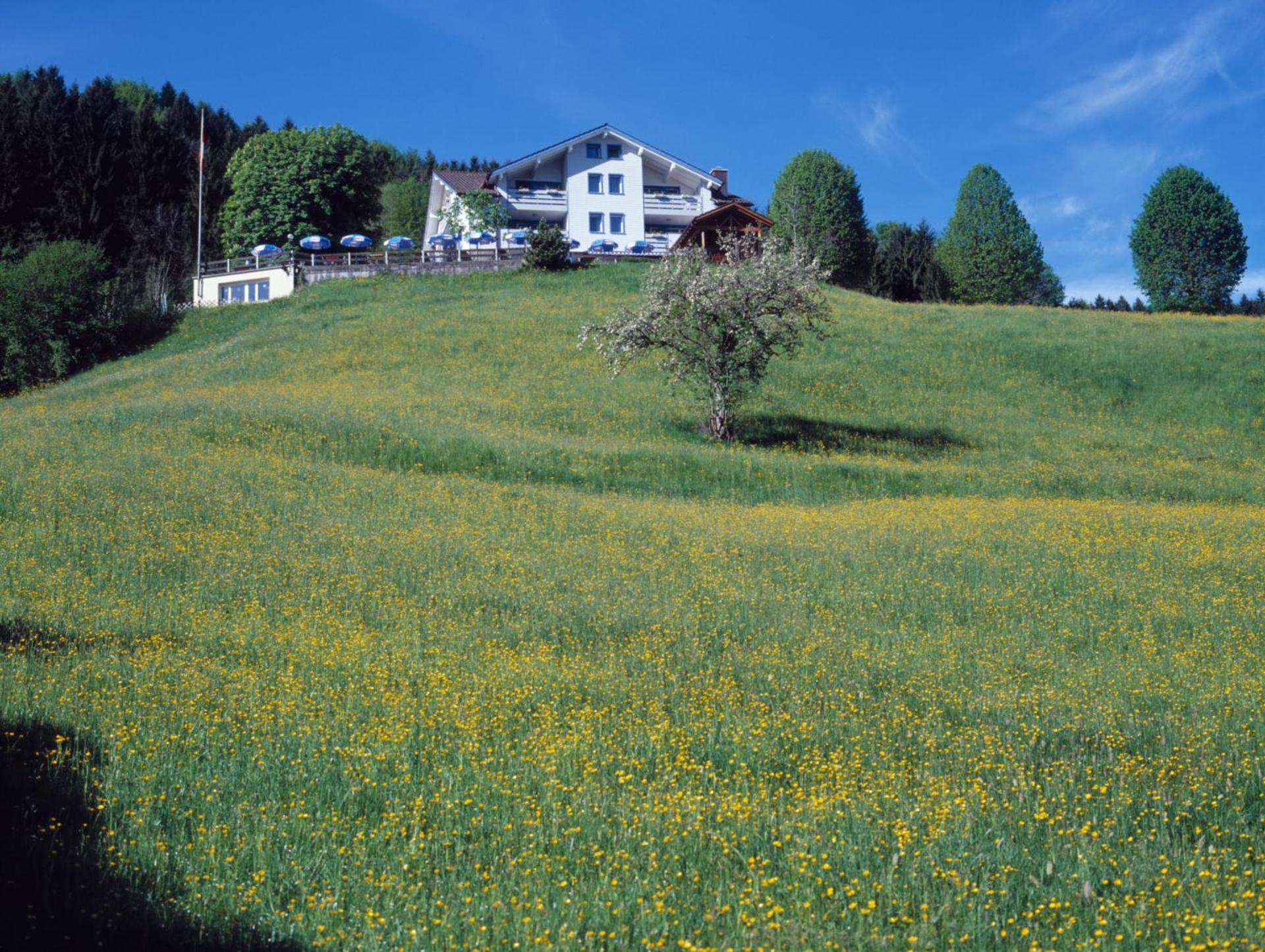Panorama Hotel Freudenberg