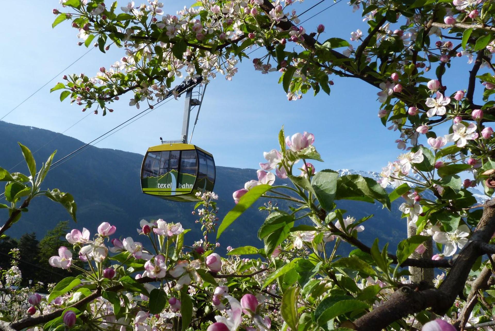 Appartements Residence Ganthaler