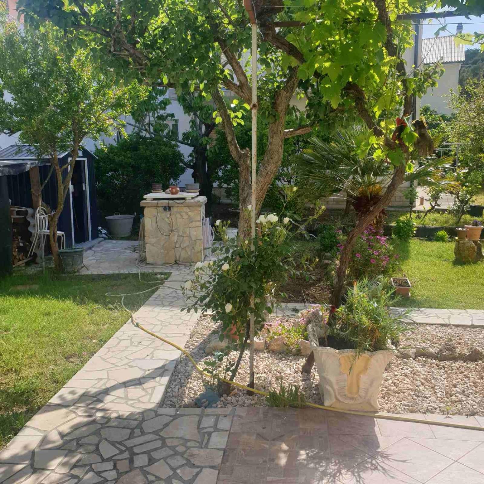 Apartments and Rooms Markovski