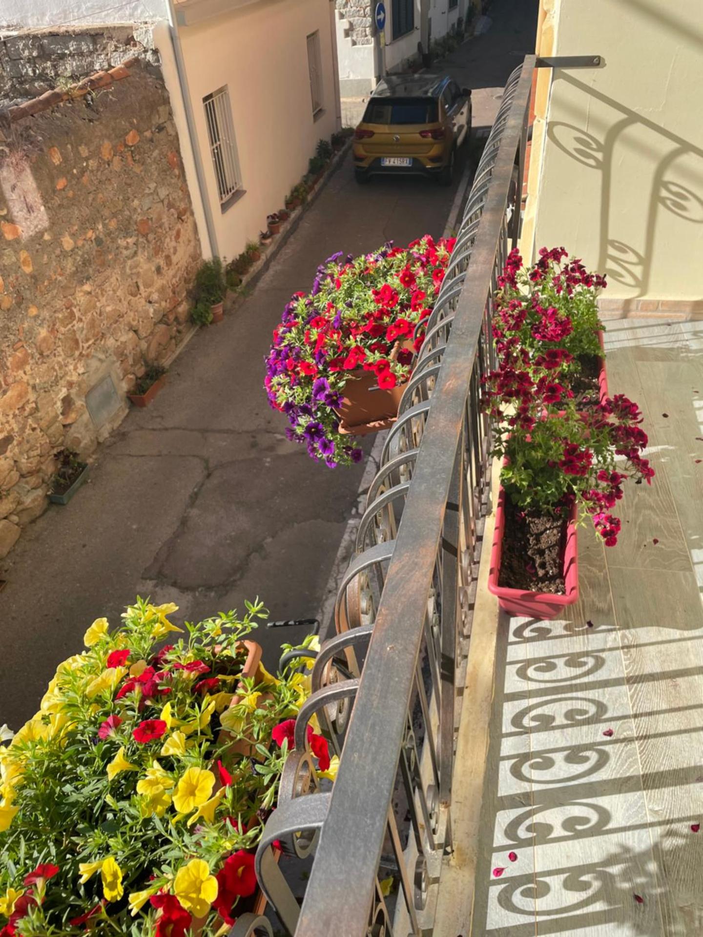 Il Giglio Affittacamere