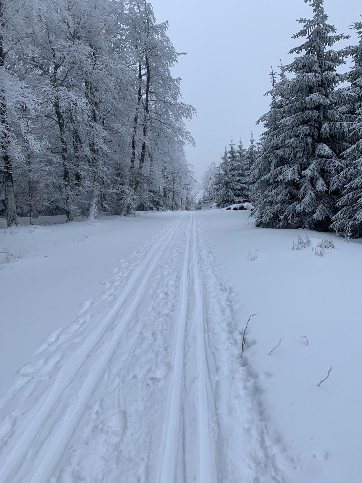Wohlfühl Appartments