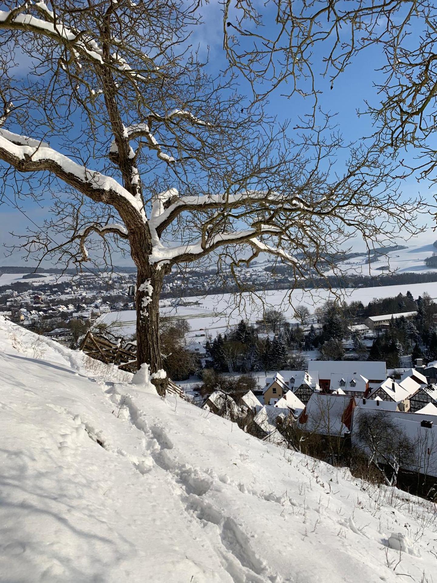 Wohlfühl Appartments
