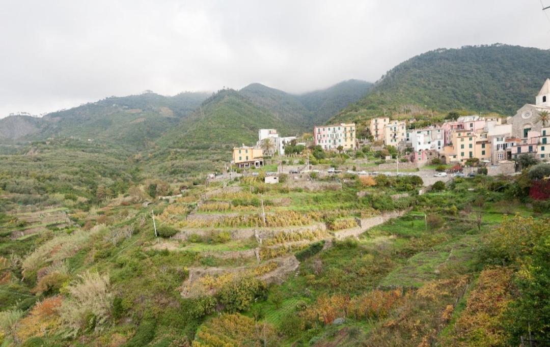 Deluxe Doppelzimmer mit Meerblick