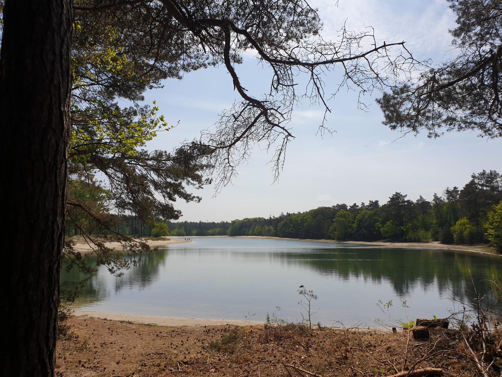 Ermerhoek: op de Deel
