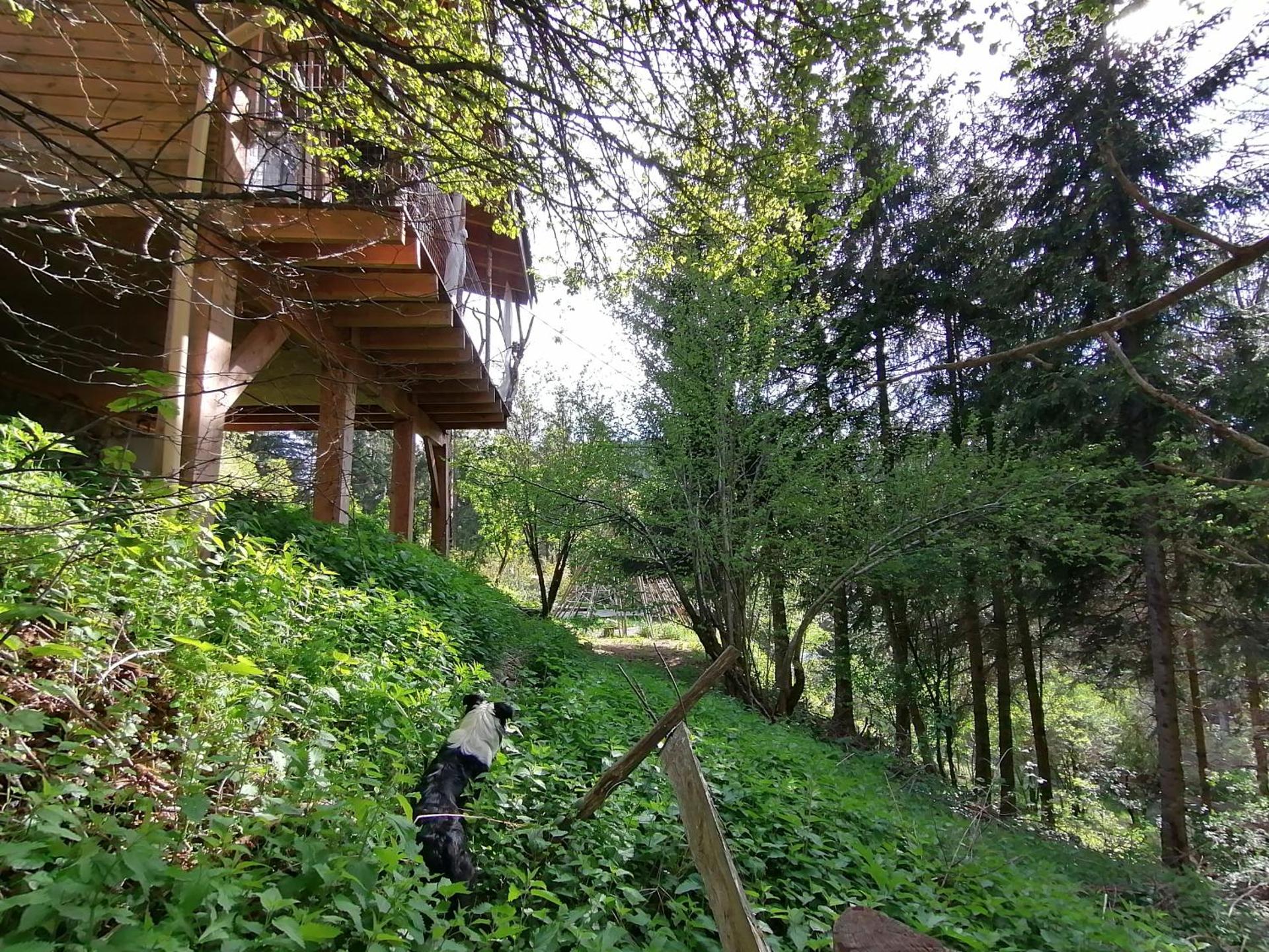 Suite with Mountain View