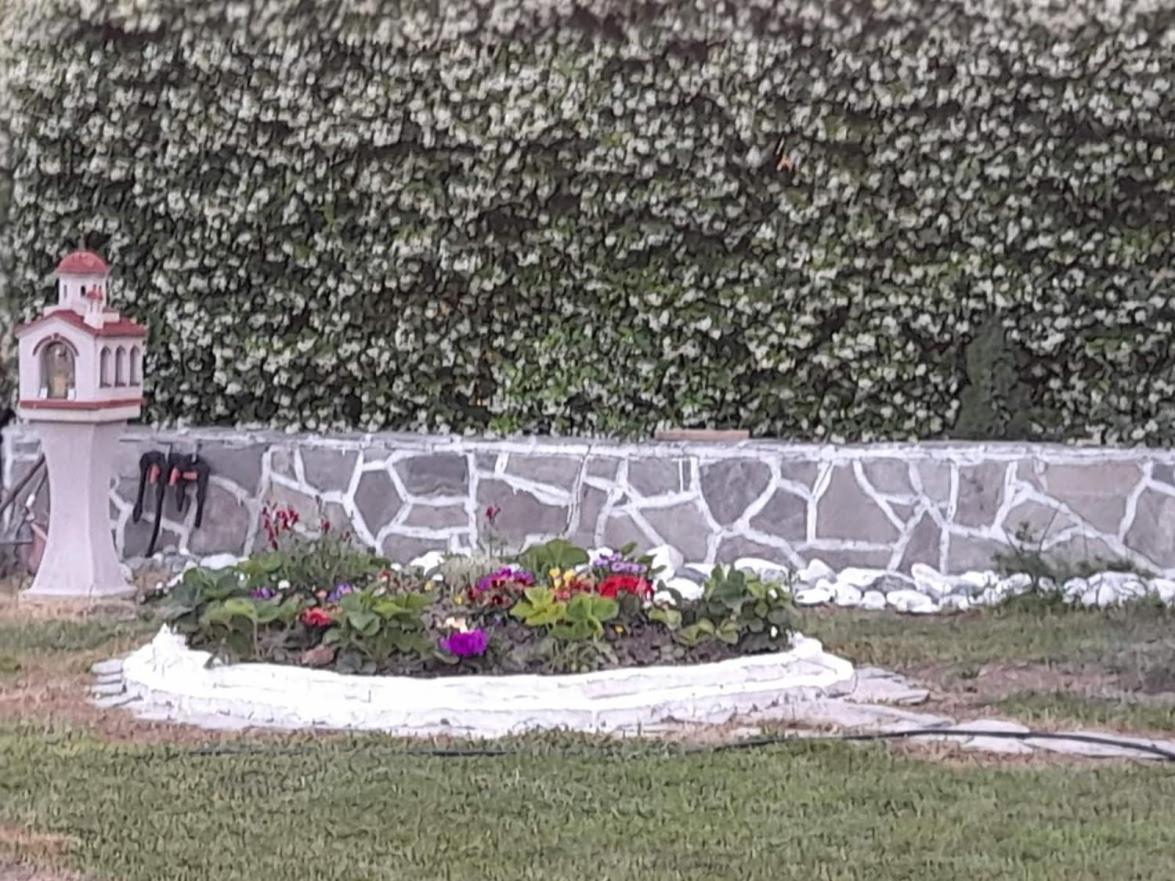 Green house - Apartment in Aridaia-Loutra Pozar